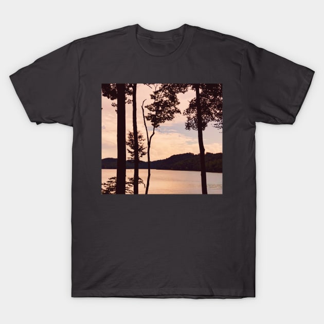 Lake & Trees T-Shirt by AlishaMSchil